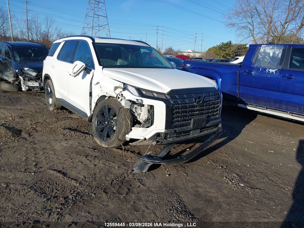 KM8R3DGE8SU925981 · 2025 HYUNDAI PALISADE · 1/12