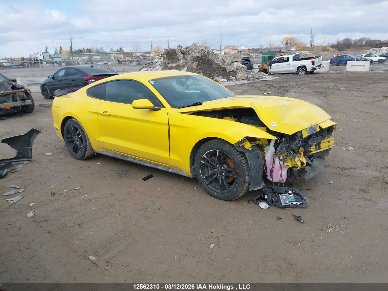 1FA6P8TH8H5321360 · 2017 FORD MUSTANG · 1/12