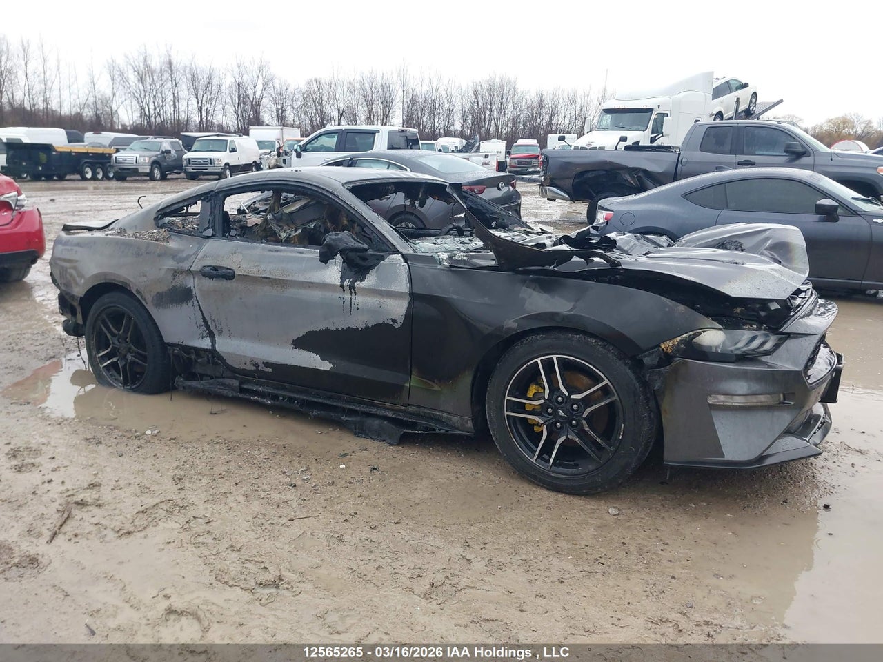 1FA6P8TH0M5****** · 2021 FORD MUSTANG ECOBOOST · 1/12
