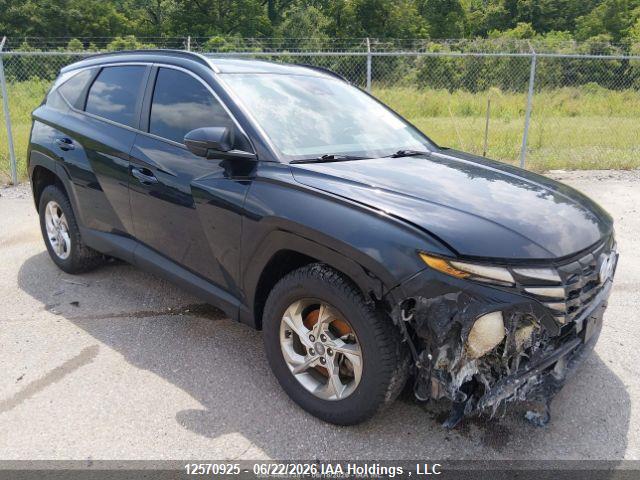 KM8JBCDE4RU337620 · 2024 HYUNDAI TUCSON SEL