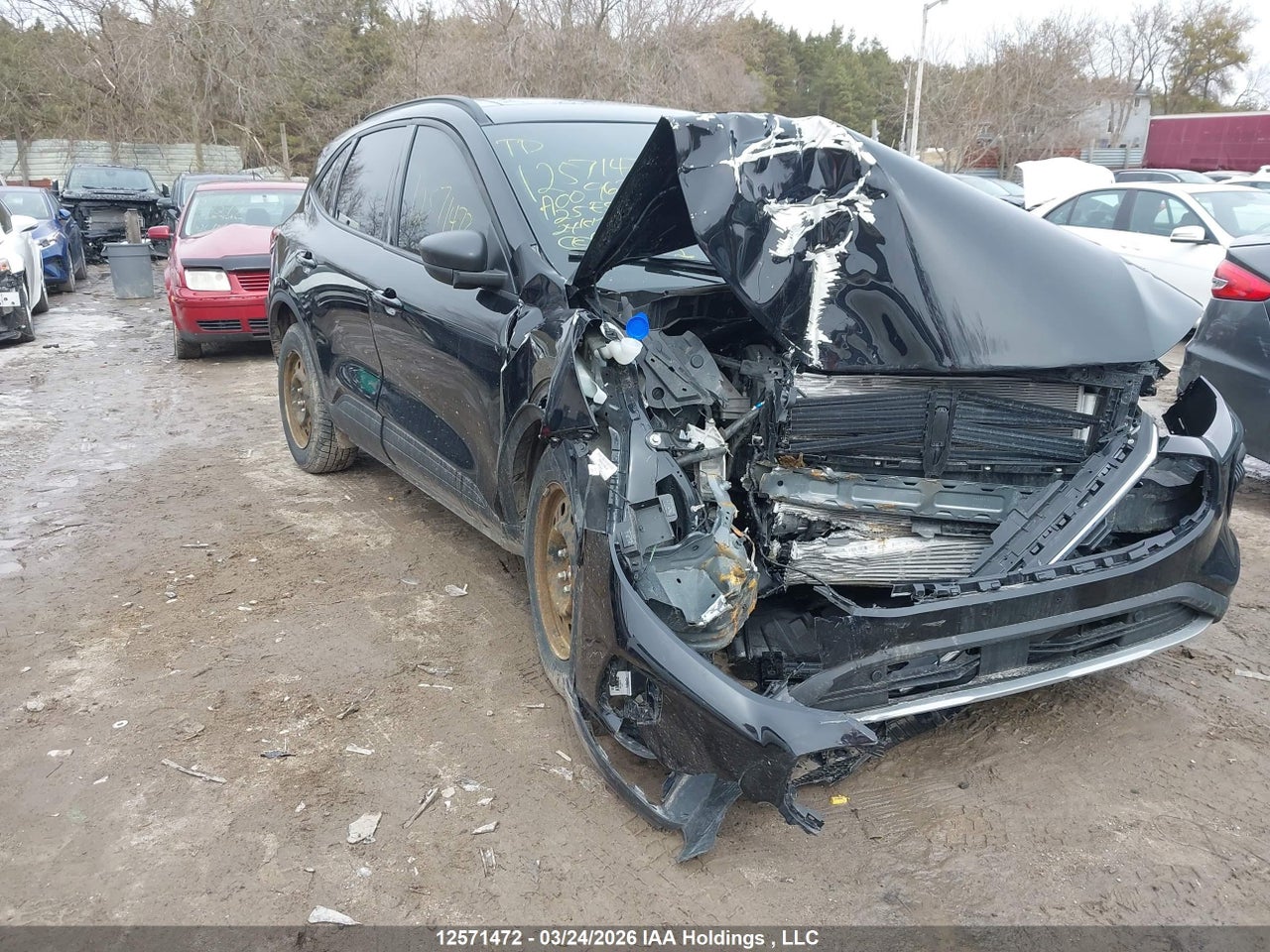 1FMCU9MN8SUA00962 · 2025 FORD ESCAPE ST-LINE