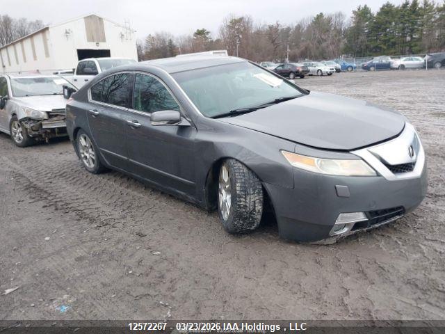 19UUA96529A800149 · 2009 ACURA TL