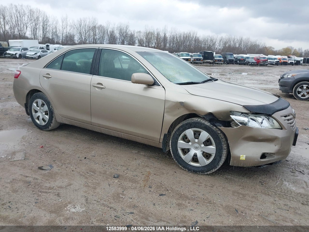 4T1BE46K89U277751 · 2009 TOYOTA CAMRY SE/LE/XLE