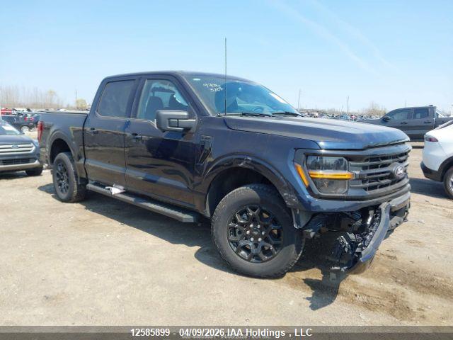 1FTEW3LP2RKF39736 · 2024 FORD F-150 XLT
