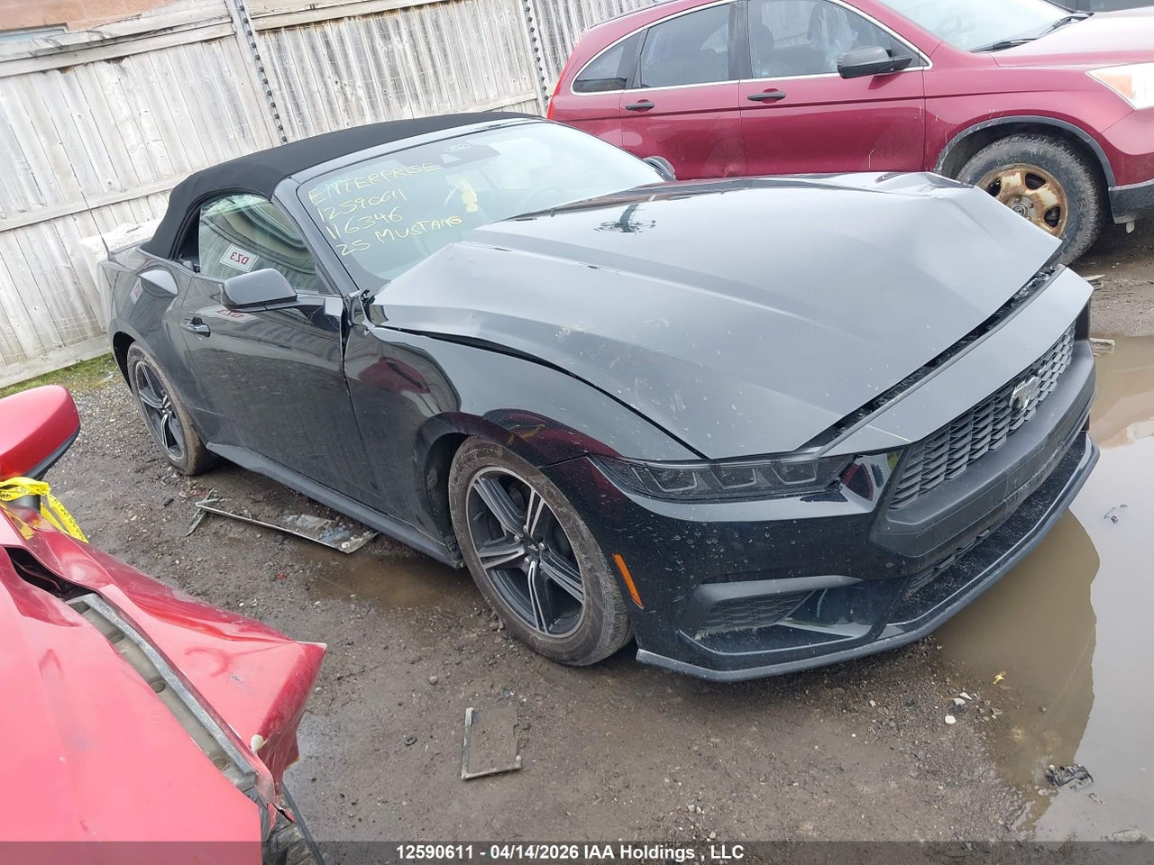 1FAGP8UH5S5116346 · 2025 FORD MUSTANG · 1/12