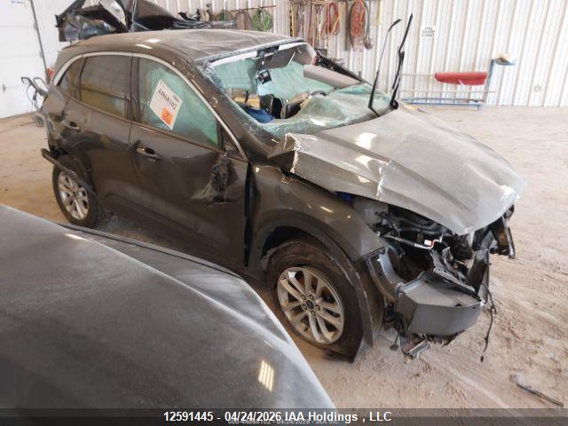 1FMCU9G63LUA42977 · 2020 FORD ESCAPE · 1/12