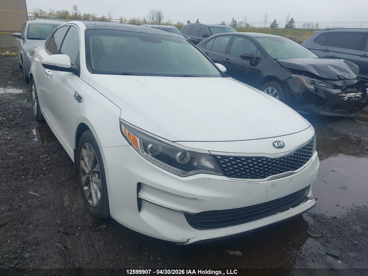 5XXGU4L34GG****** · 2016 KIA OPTIMA EX/EX TECH · 1/12