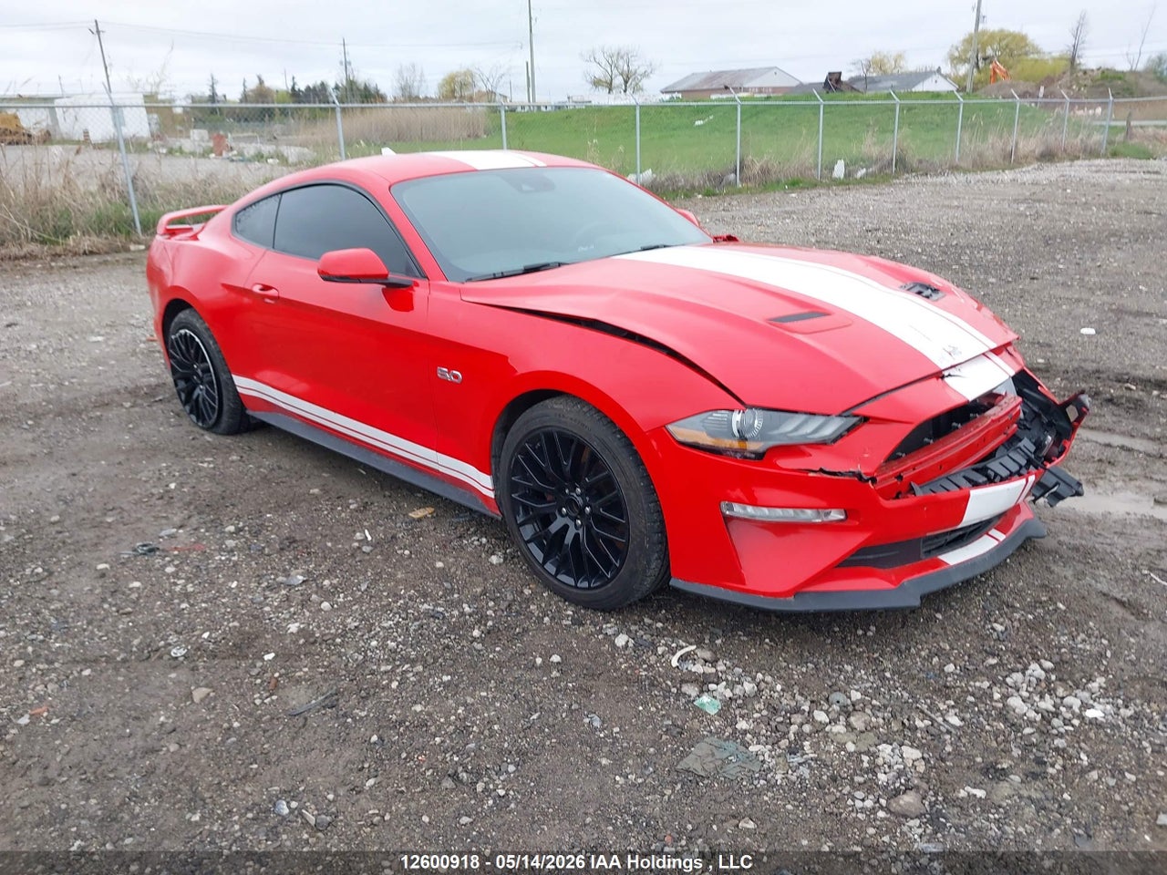 1FA6P8CF0M5****** · 2021 FORD MUSTANG GT PREMIUM · 1/12