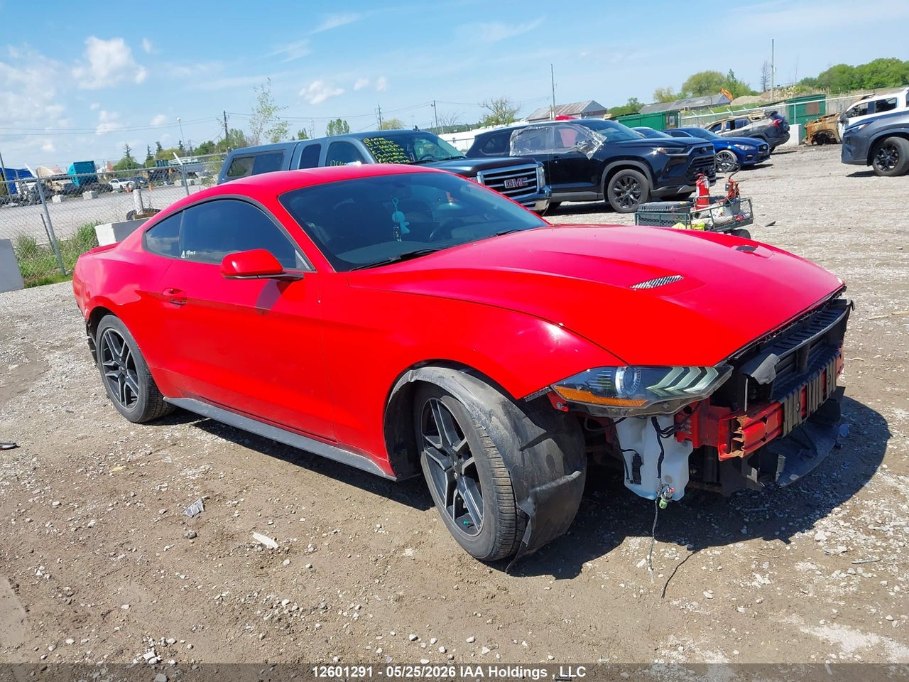 1FA6P8TH5K5****** · 2019 FORD MUSTANG ECOBOOST · 1/12