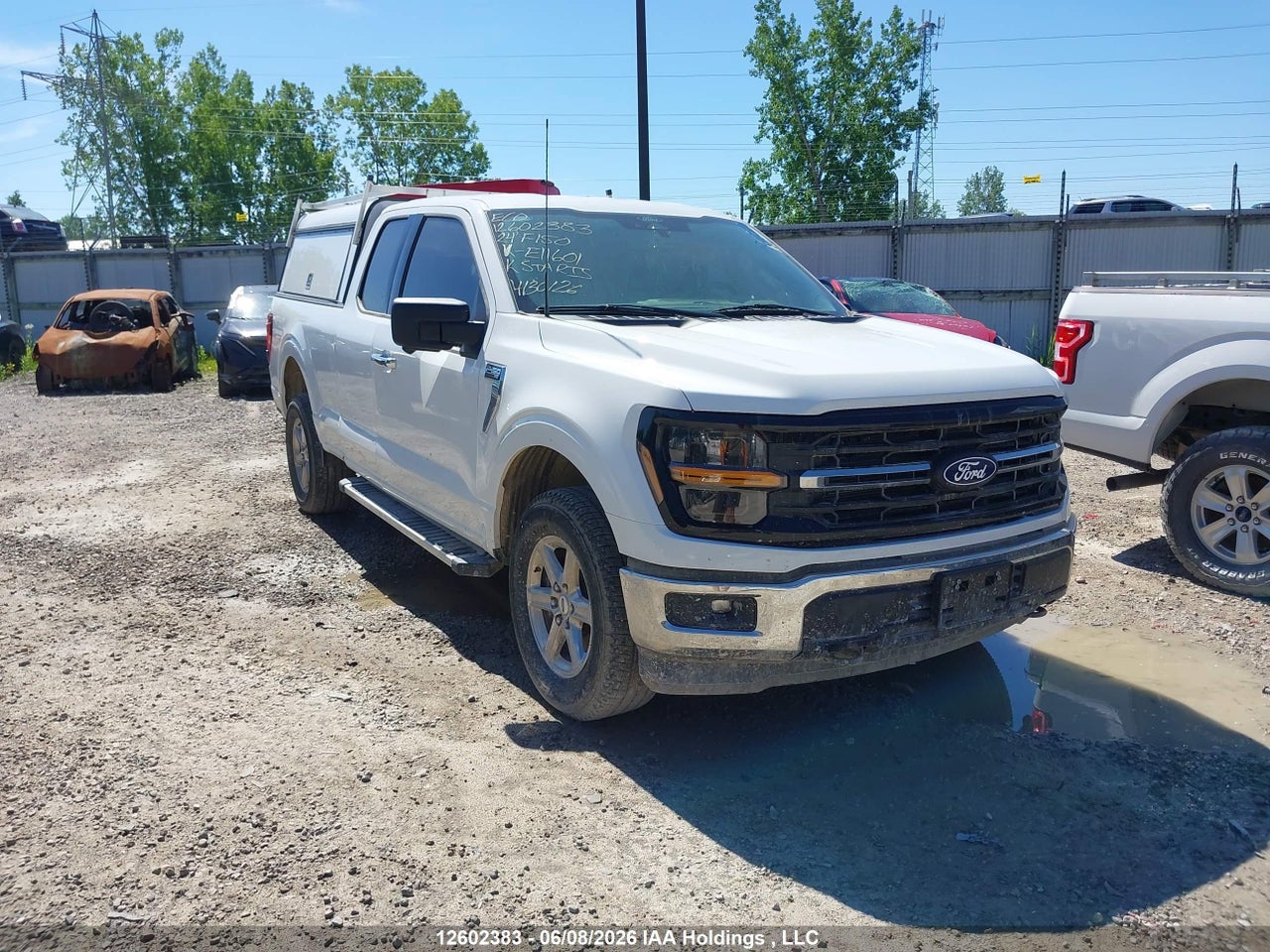 1FTFX3L58RKE11601 · 2024 FORD F-150 XLT