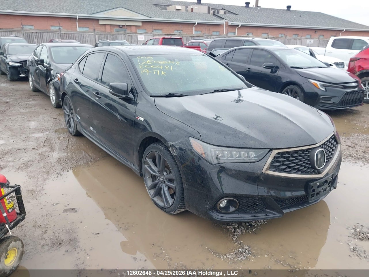 19UUB3F87KA****** · 2019 ACURA TLX ADVANCE · 1/12