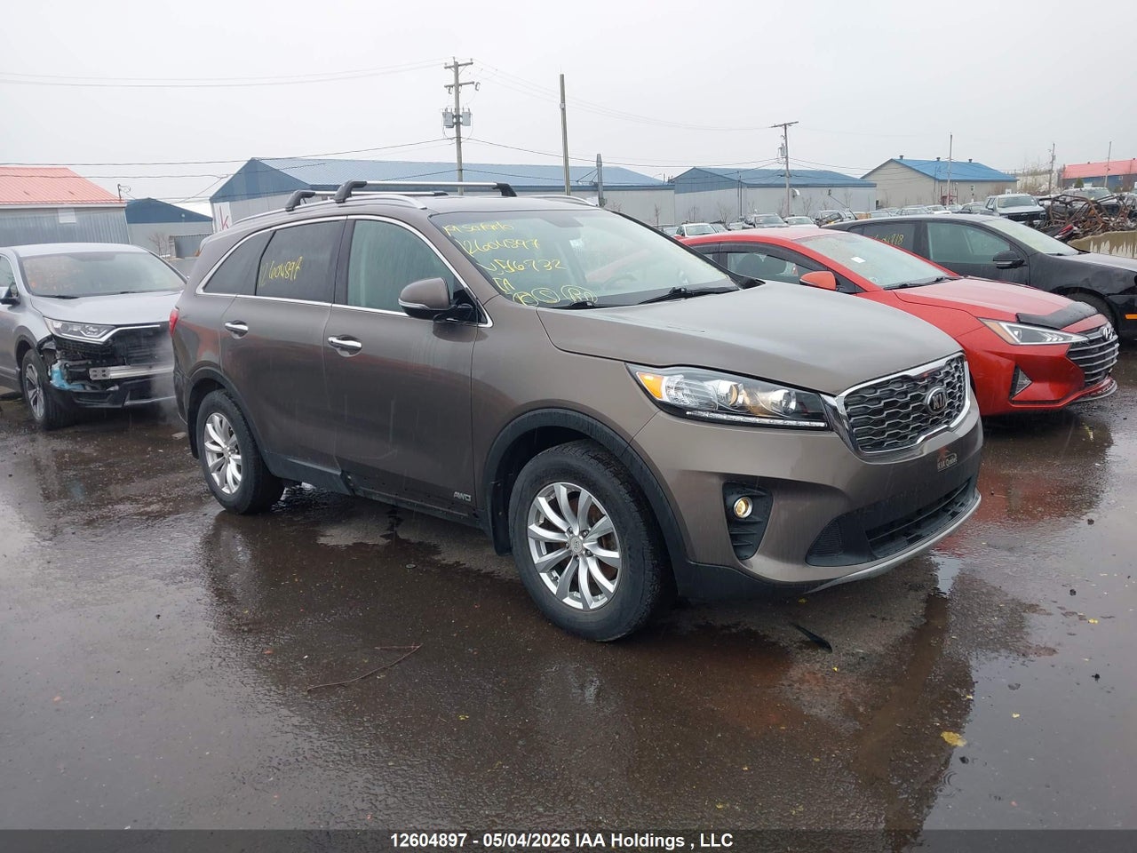 5XYPHDA35KG516732 · 2019 KIA SORENTO · 1/12
