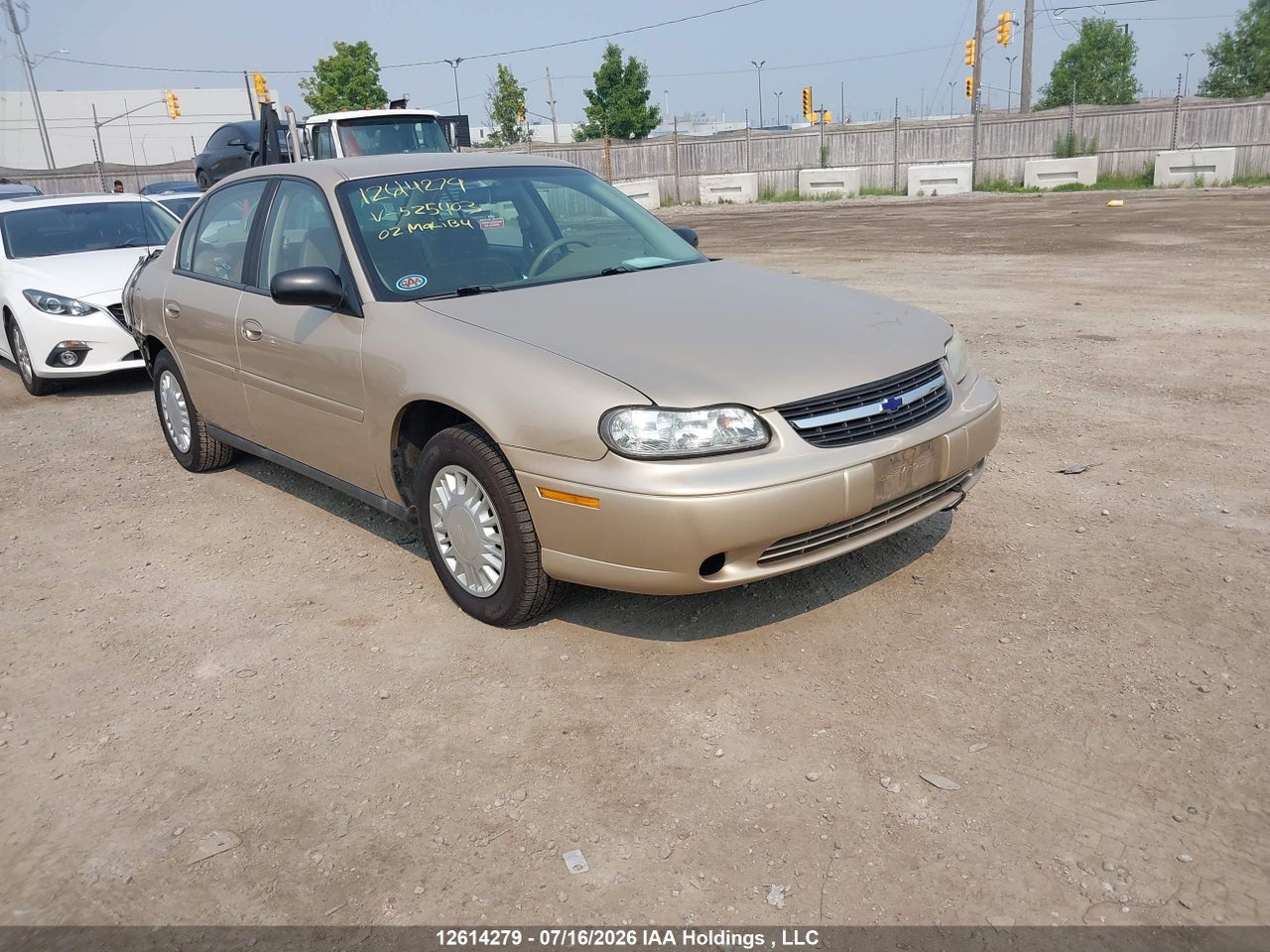 1G1ND52J22M525403 · 2002 CHEVROLET MALIBU · 1/12