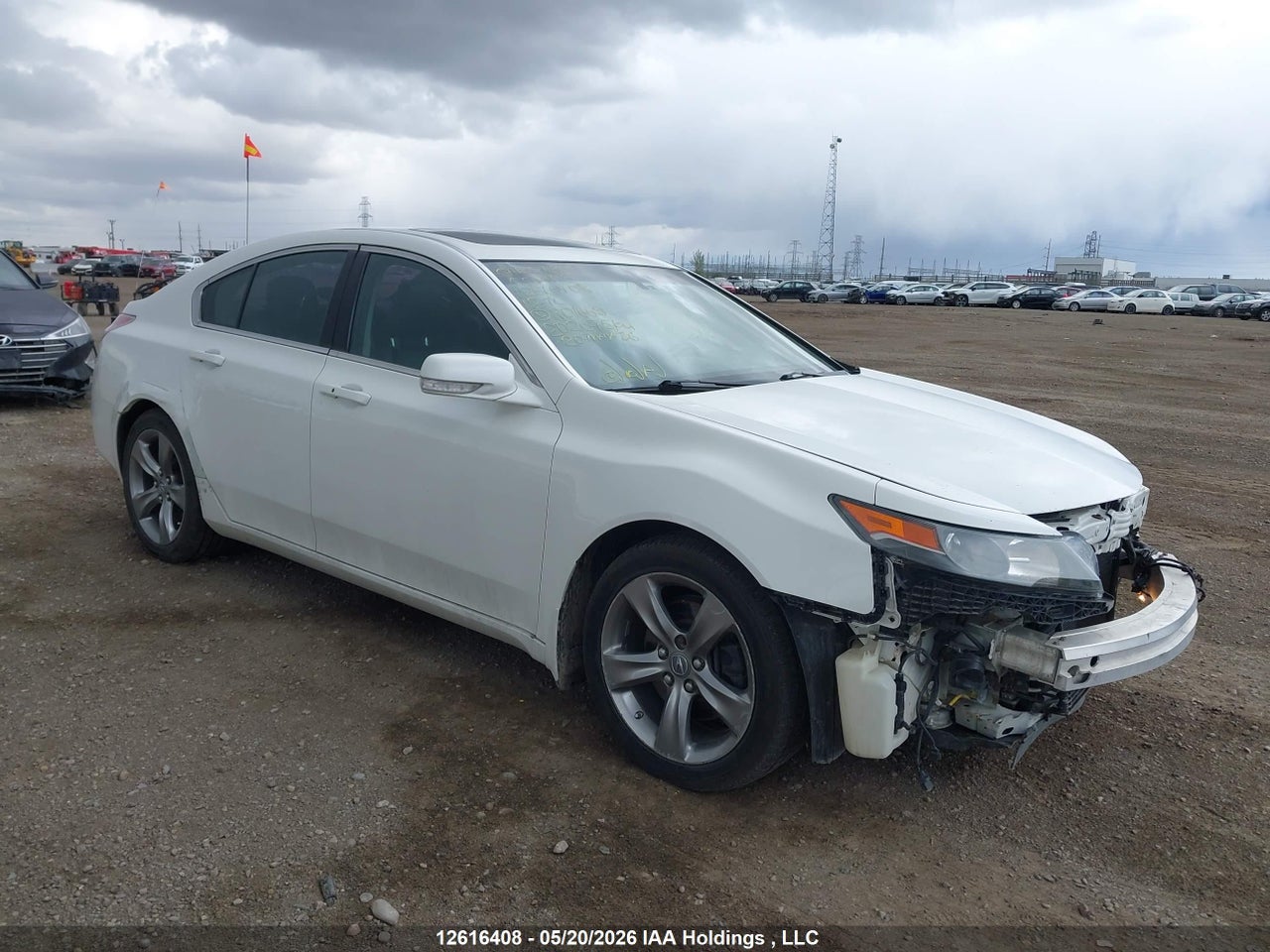 19UUA9F51CA801669 · 2012 ACURA TL