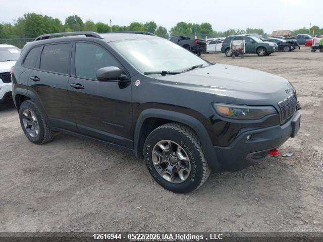 1C4PJMBN8KD273954 · 2019 JEEP CHEROKEE TRAILHAWK · 1/12