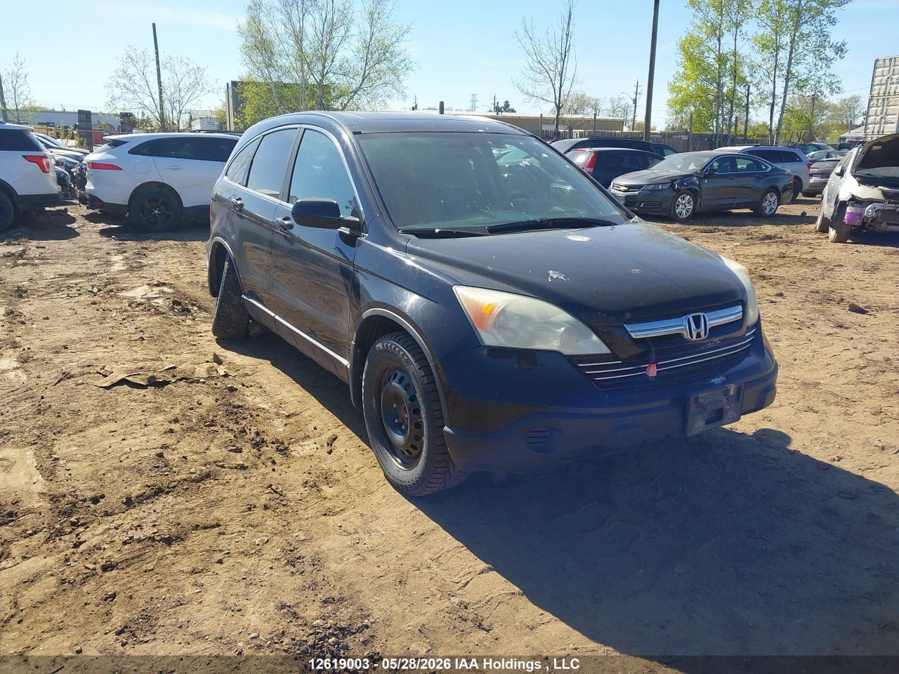 5J6RE48709L805455 · 2009 HONDA CR-V EXL
