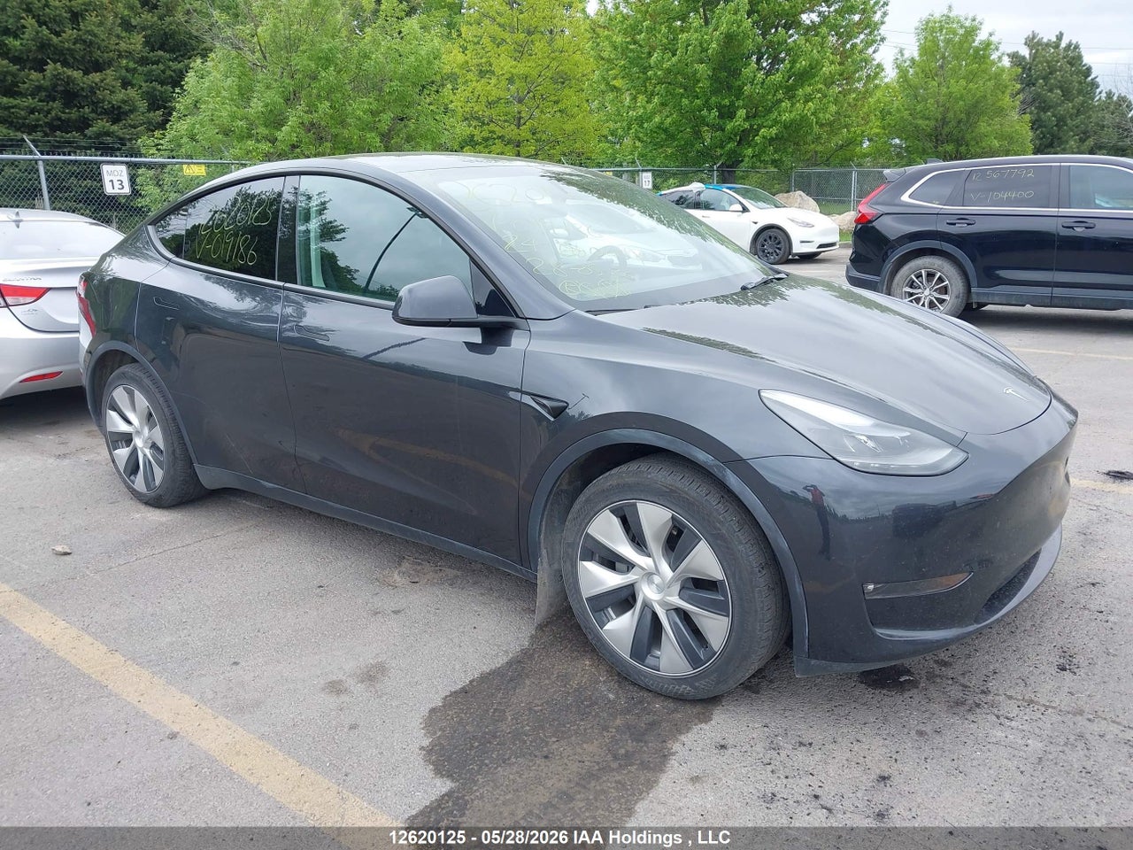7SAYGDEE7RF019186 · 2024 TESLA MODEL Y · 1/12