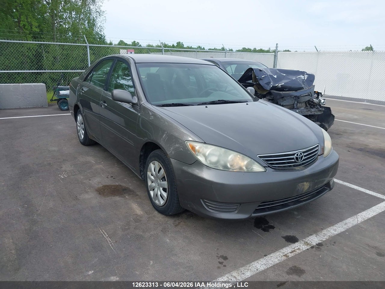 4T1BE32K05U524495 · 2005 TOYOTA CAMRY LE/XLE/SE