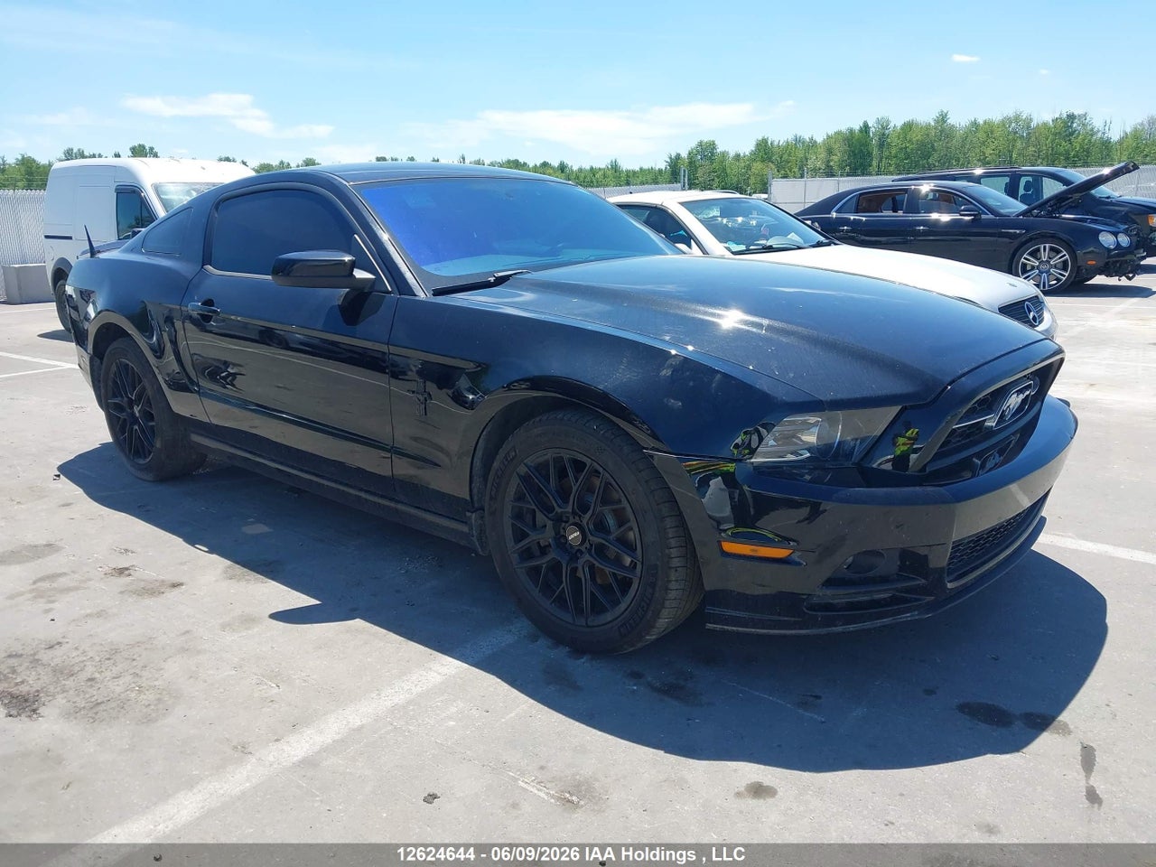 1ZVBP8AM1D5222508 · 2013 FORD MUSTANG