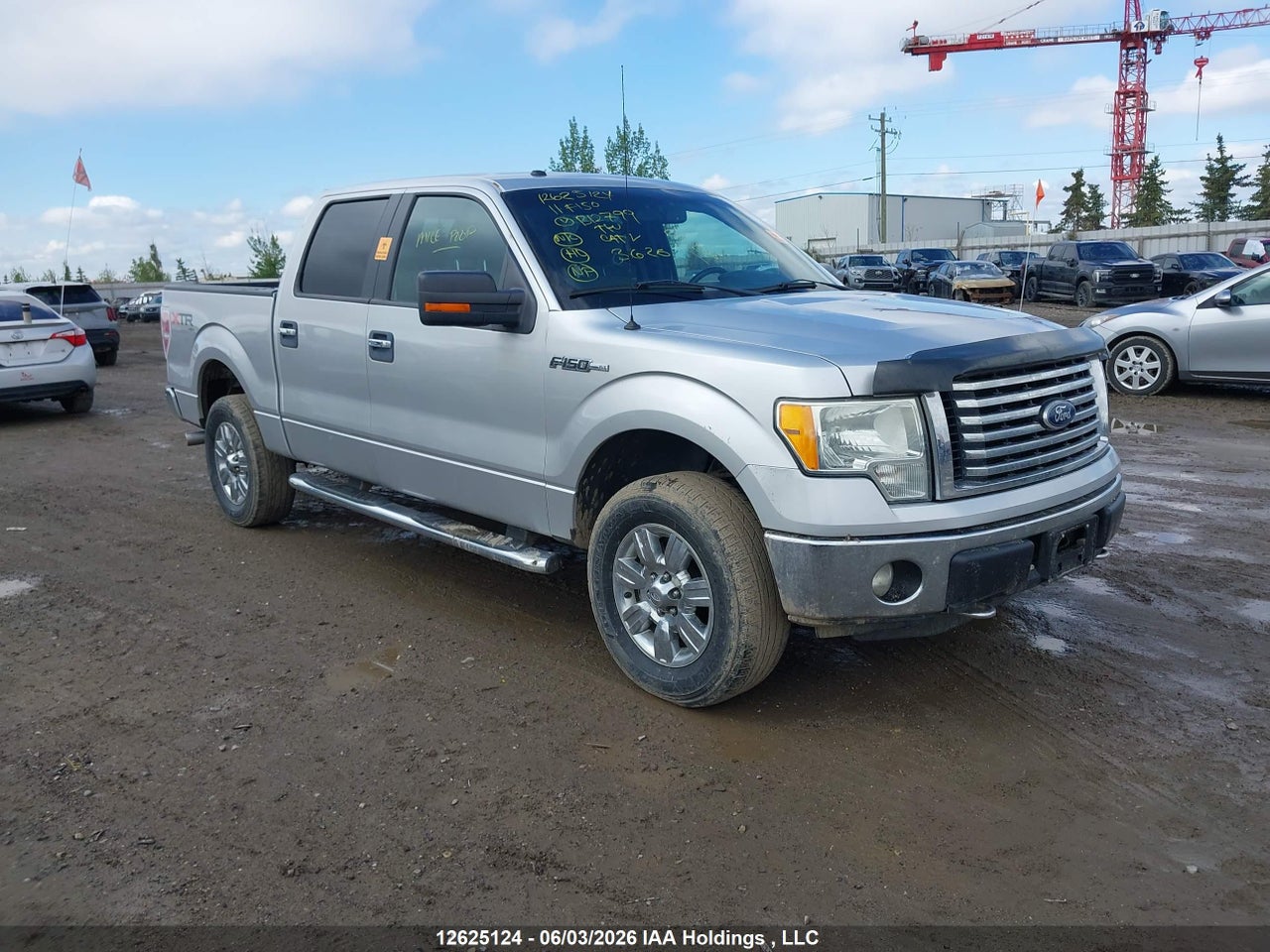1FTFW1EF1BFB12799 · 2011 FORD F-150 XLT