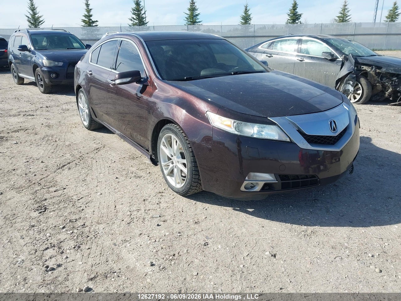 19UUA96569A801790 · 2009 ACURA TL