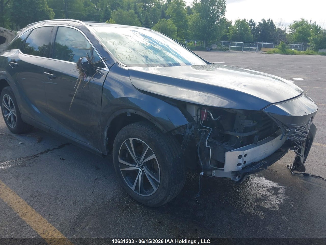 2T2BBMCA6RC049216 · 2024 LEXUS RX 350H