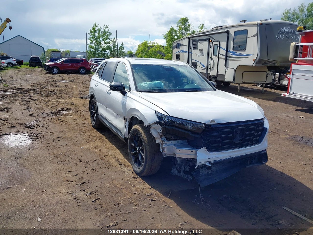 2HKRS6H79RH201238 · 2024 HONDA CR-V EX-L HYBRID