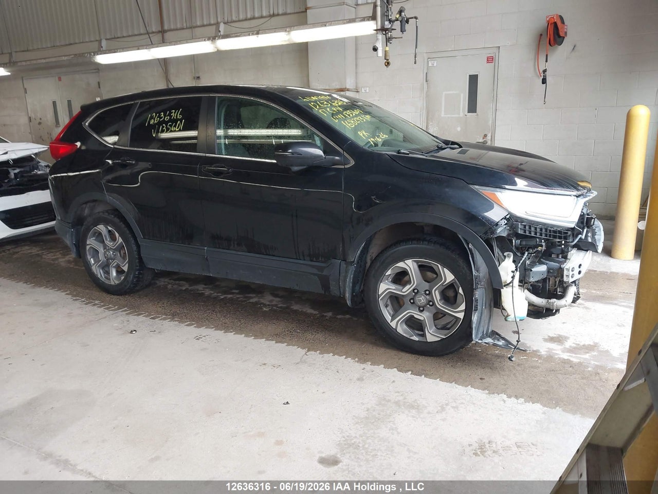2HKRW2H58HH135601 · 2017 HONDA CR-V EX · 1/12