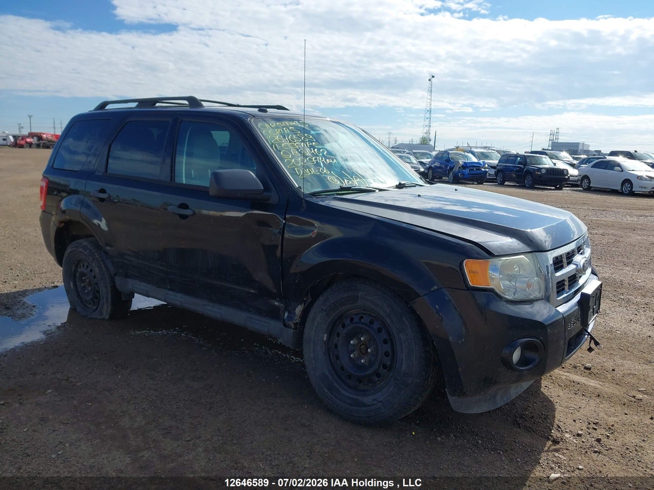 1FMCU9DG0BKB31462 · 2011 FORD ESCAPE XLT