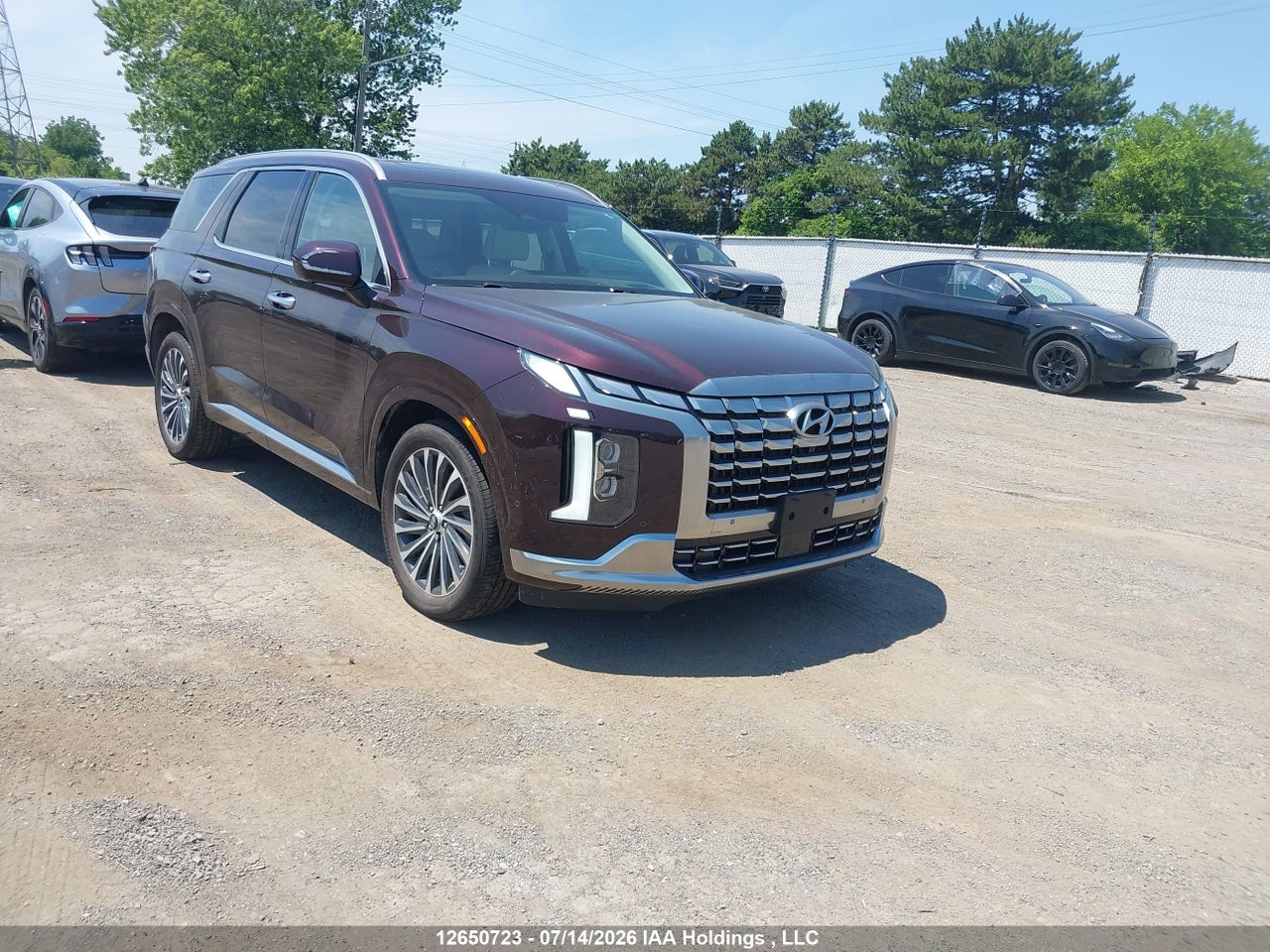 KM8R5DGE8SU849902 · 2025 HYUNDAI PALISADE ULTIMATE CALLIGRAPHY · 1/12