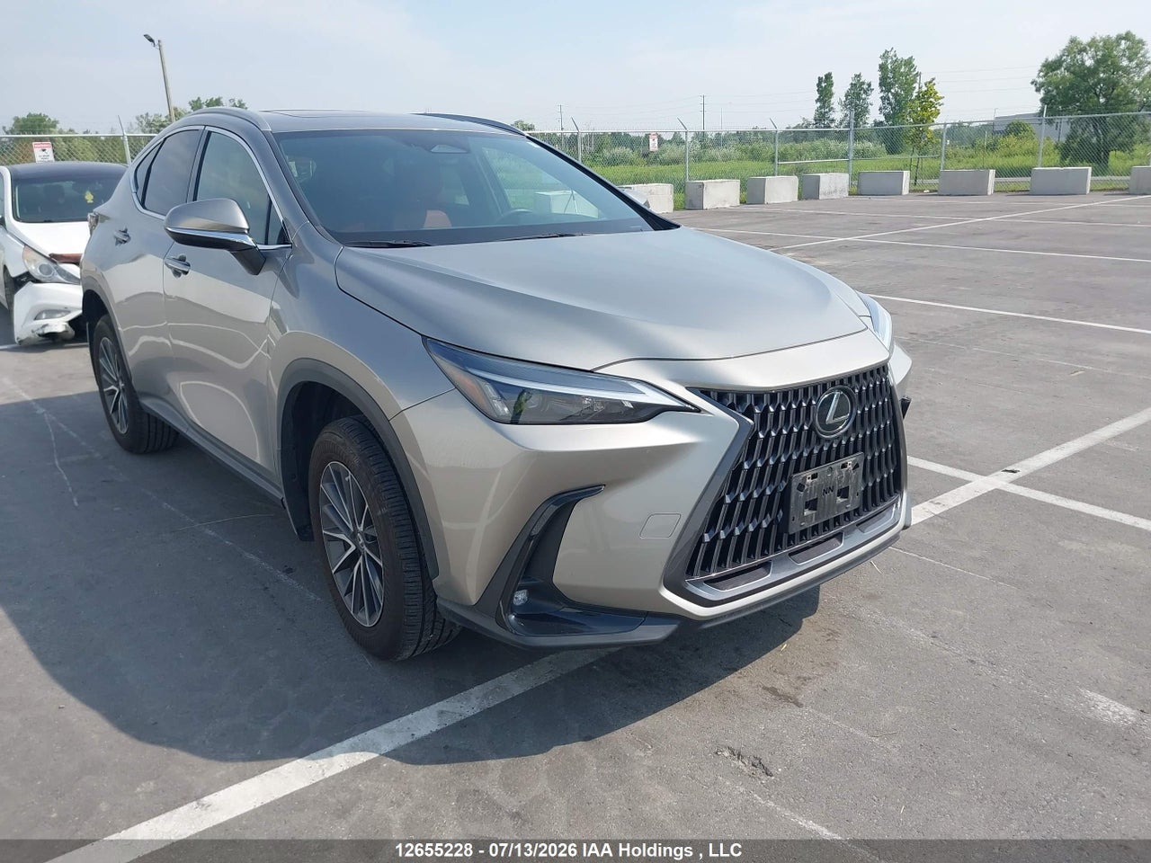 2T2GGCEZ1RC057843 · 2024 LEXUS NX 350