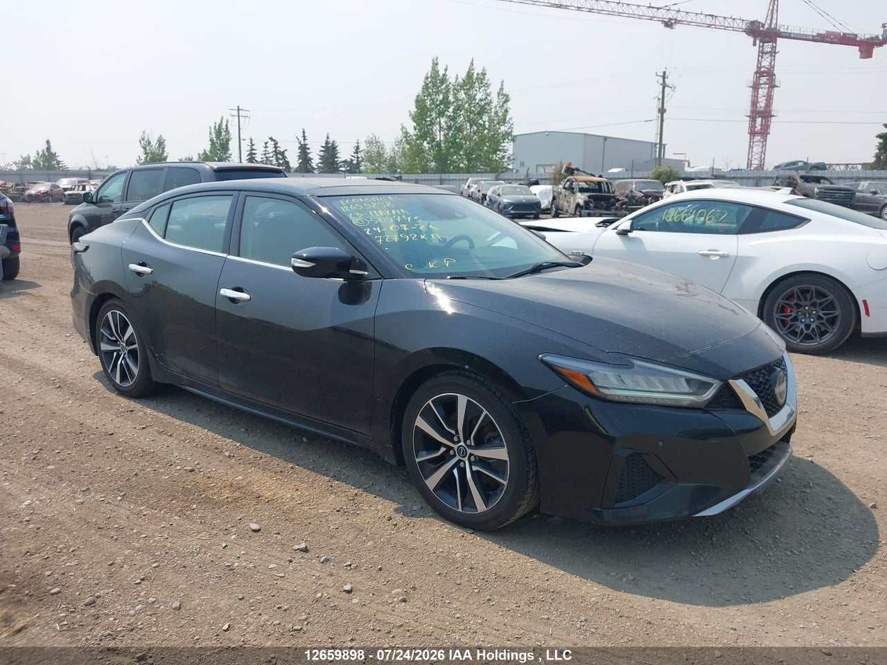 1N4AA6DV6PC509745 · 2023 NISSAN MAXIMA SL · 1/12