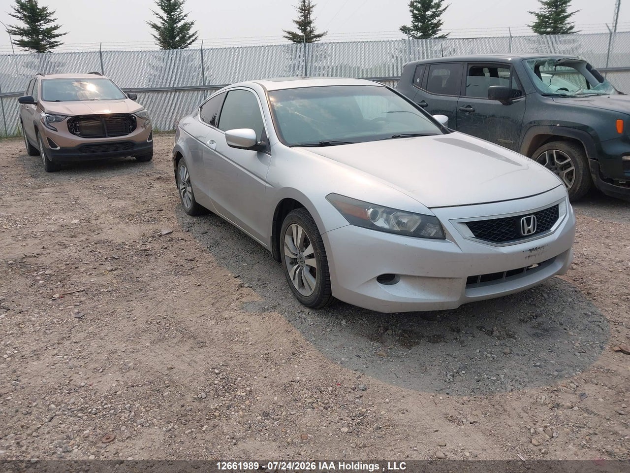 1HGCS1A85AA800355 · 2010 HONDA ACCORD EXL · 1/12