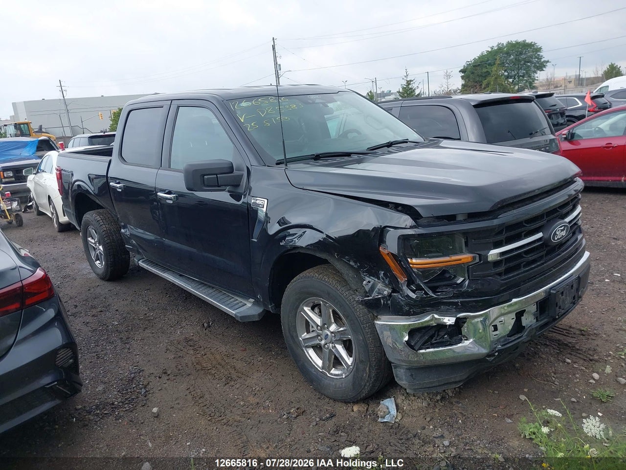 1FTFW3L89SKD85383 · 2025 FORD F150 XLT