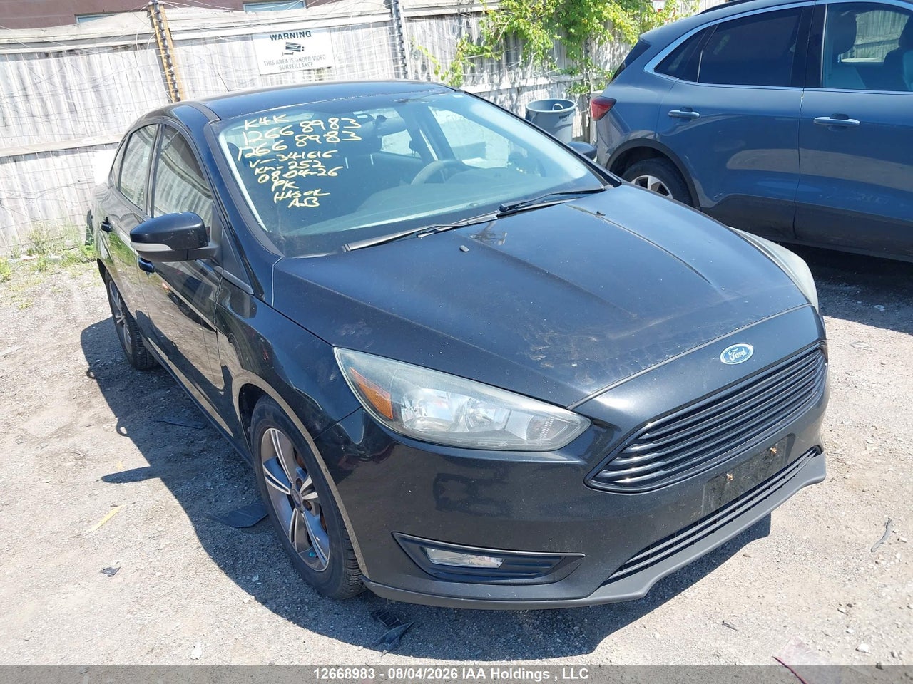 1FADP3FEXGL341616 · 2016 FORD FOCUS SE · 1/12