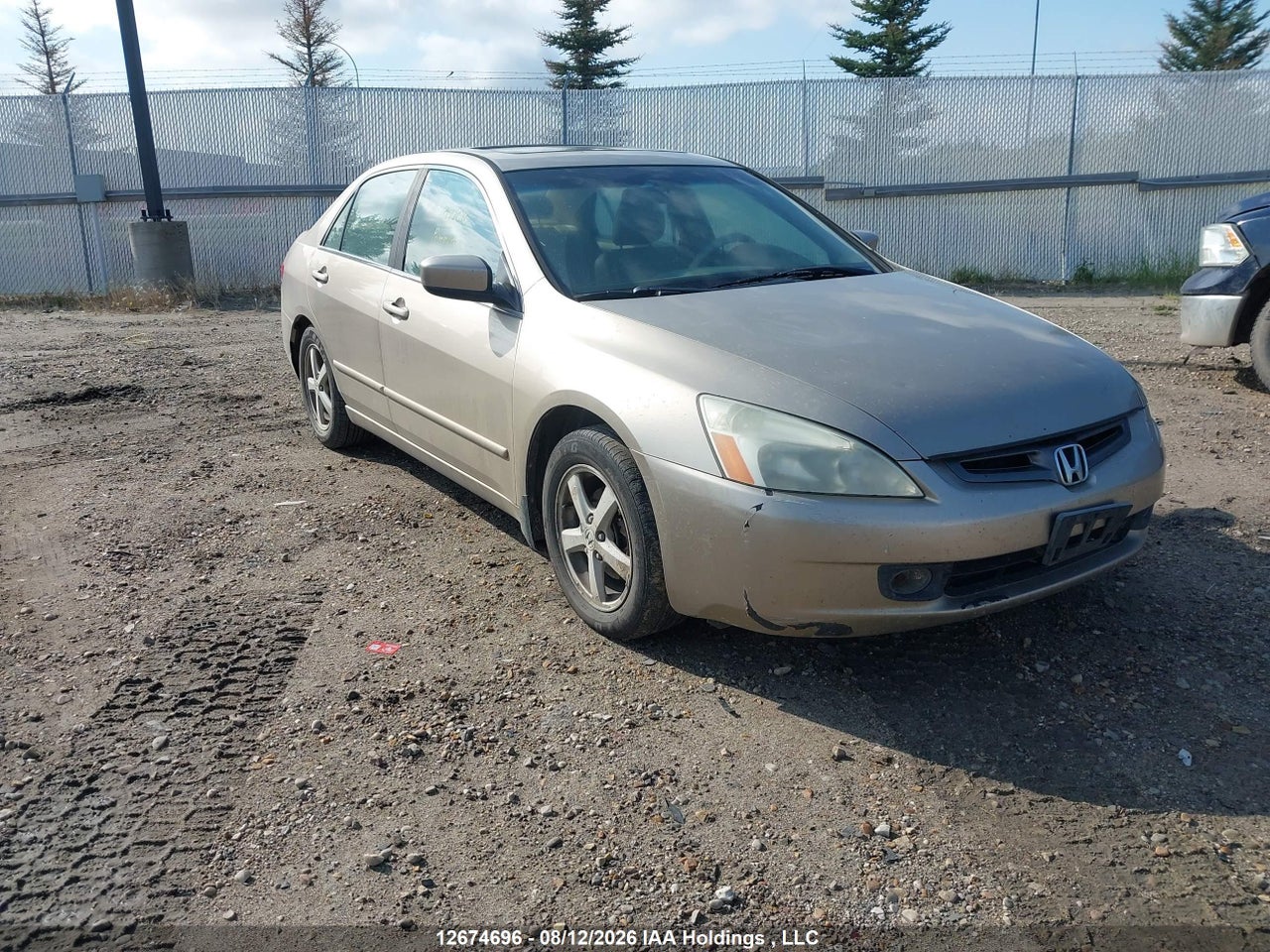 1HGCM56653A807219 · 2003 HONDA ACCORD EX-L