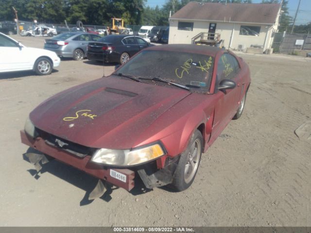 2000 FORD MUSTANG VIN: 1FAFP404XYF235181