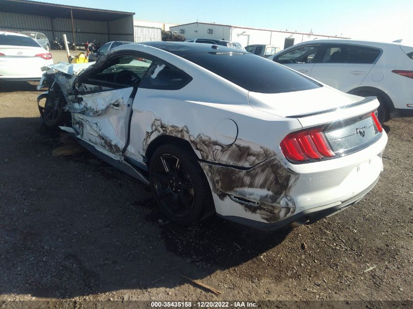 2019 FORD MUSTANG ECOBOOST - 1FA6P8TH1K5202539