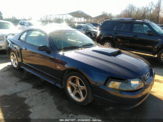 2003 FORD MUSTANG GT VIN: 1FAFP42X53F445977