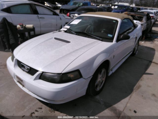 2002 FORD MUSTANG DELUXE/PREMIUM VIN: 1FAFP44472F186376