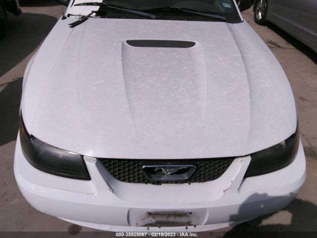 2002 FORD MUSTANG DELUXE/PREMIUM VIN: 1FAFP44472F186376