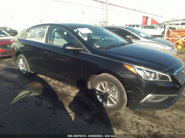 Auction sale of the 2016 Hyundai Sonata 2.4l Se, vin: 5NPE24AFXGH289055, lot number: 36078315