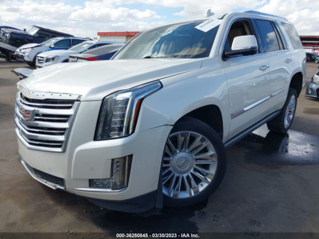 Cadillac Escalade Platinum 2015 1GYS4PKJ7FR700009 Thumbnail 2