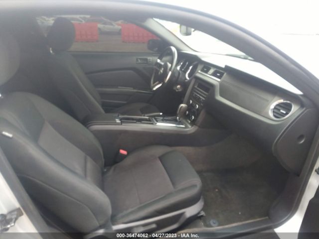 Ford Mustang V6 2014 1ZVBP8AM4E5303827 Image 5