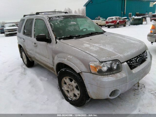 Auction sale of the 2006 Ford Escape Limited, vin: 1FMCU941X6KC05522, lot number: 38243396