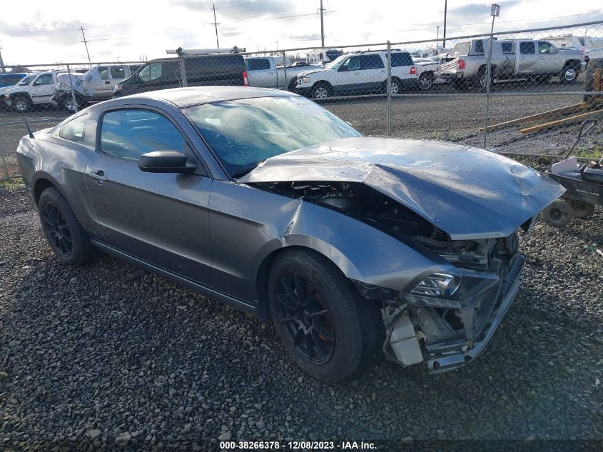 Lot #2427039290 2014 FORD MUSTANG V6 salvage car