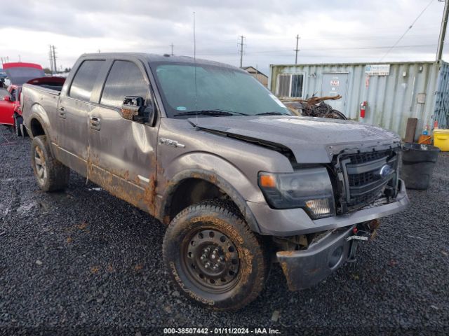 Auction sale of the 2013 Ford F-150 Fx4, vin: 1FTFW1ET4DKD82836, lot number: 38507442