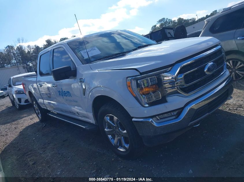 2021 FORD F-150  (VIN: 1FTFW1E56MKE05566)