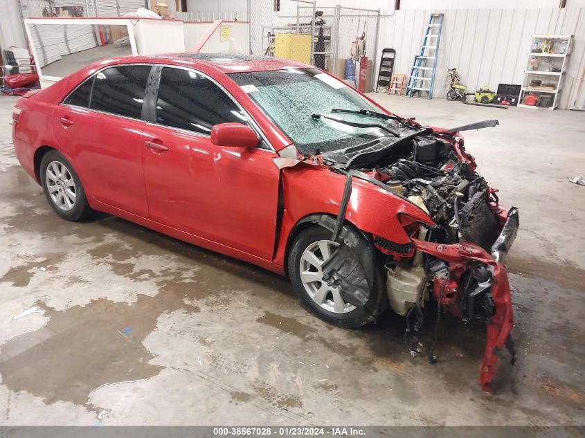 Lot #2427036518 2009 TOYOTA CAMRY XLE V6 salvage car