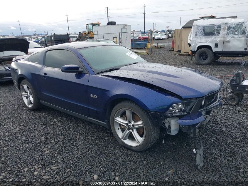Lot #2427039077 2011 FORD MUSTANG GT PREMIUM salvage car